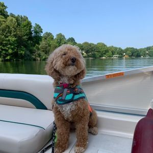 Meet your Posher, Lydia